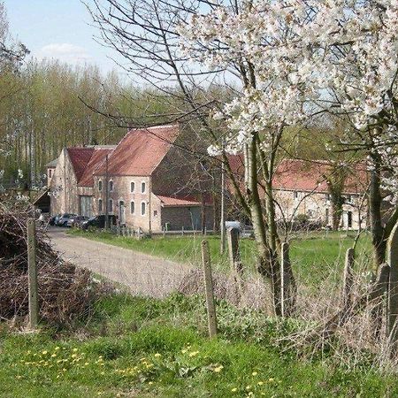 De Verborgen Parel B&B Borgloon Dış mekan fotoğraf