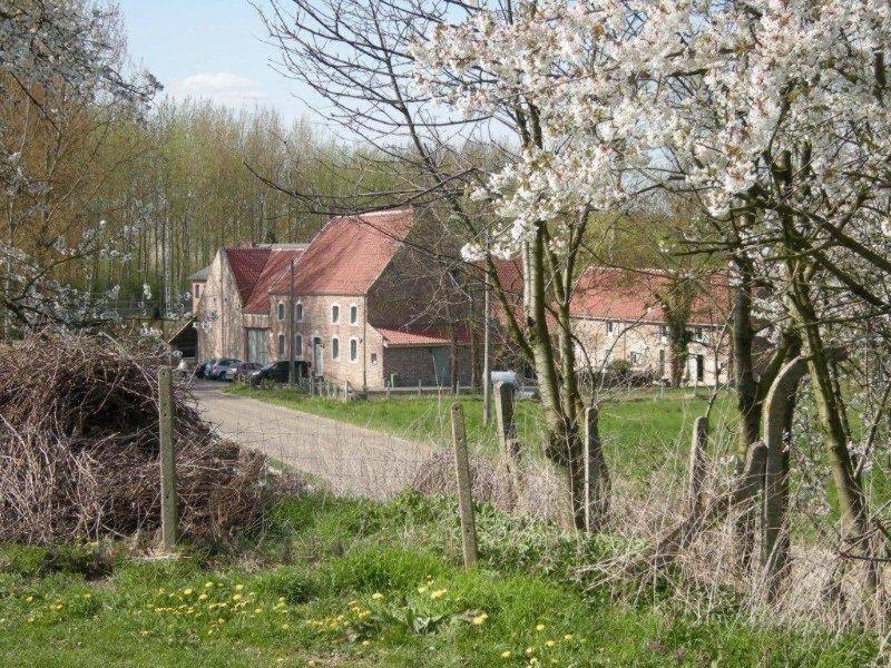 De Verborgen Parel B&B Borgloon Dış mekan fotoğraf