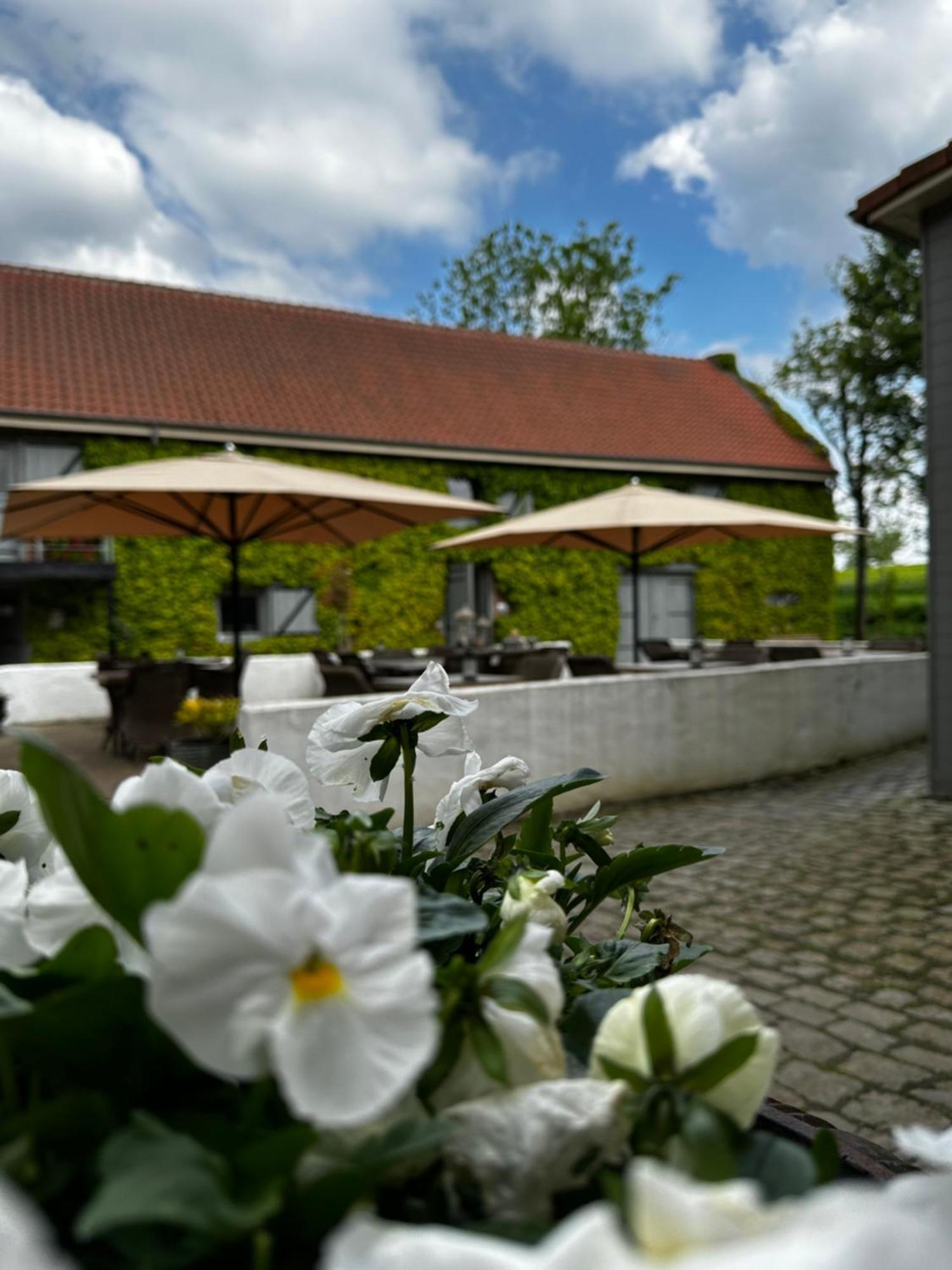 De Verborgen Parel B&B Borgloon Dış mekan fotoğraf
