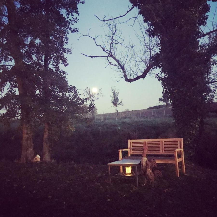 De Verborgen Parel B&B Borgloon Dış mekan fotoğraf